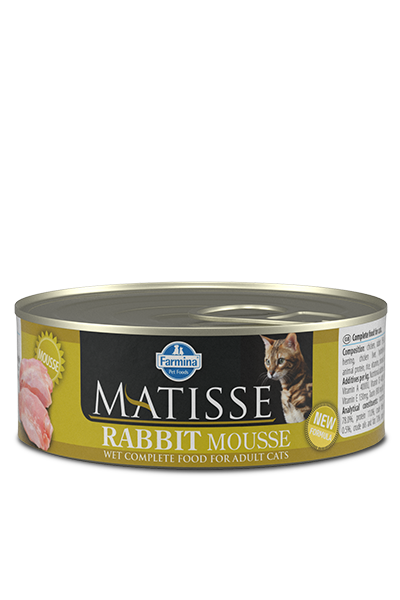 Matisse Κουνέλι Μους