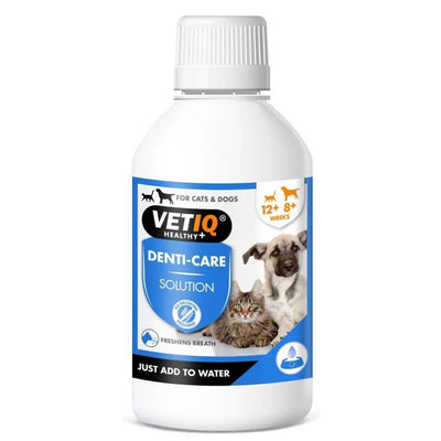VETIQ 2 σε 1 Denti Care Διάλυμα Στοματικής Υγιεινής για Σκύλους και Γάτες 250ml